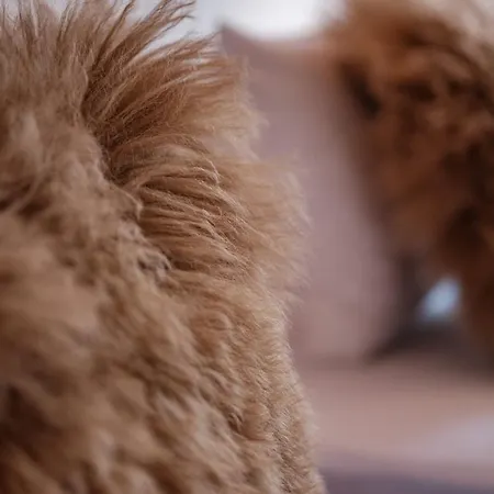 Appartamento Haus Malva By Premium Zermatt