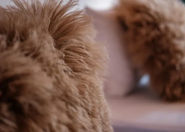 아파트 Haus Malva By Premium 체르마트